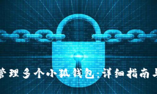如何轻松管理多个小狐钱包：详细指南与实用技巧
