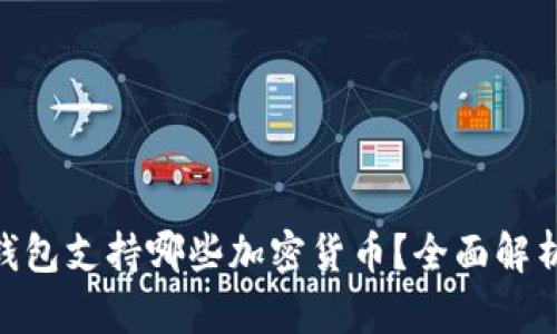 MetaMask钱包支持哪些加密货币？全面解析与使用指南