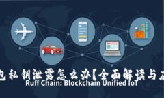 小狐钱包私钥泄露怎么办？全面解读与应对策略