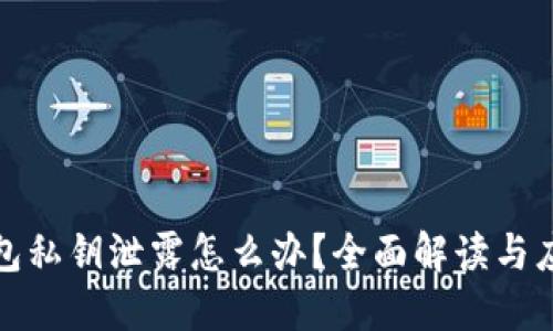 小狐钱包私钥泄露怎么办？全面解读与应对策略