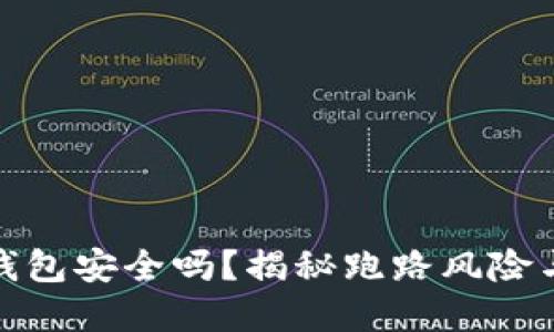 数字货币钱包安全吗？揭秘跑路风险与防范策略