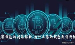 数字钱包的问题解析：为