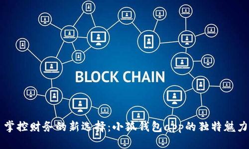 掌控财务的新选择：小狐钱包app的独特魅力