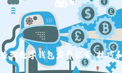 如何高效查询数字钱包消费记录：技巧和方法解析