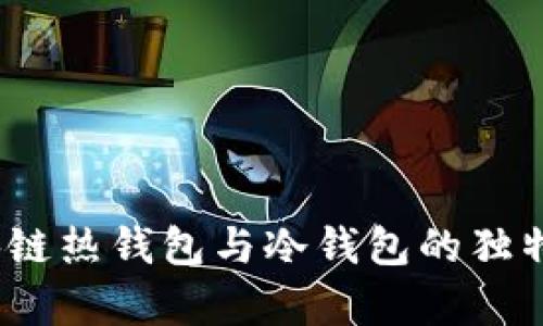 全面解析：区块链热钱包与冷钱包的独特卖点与创新点