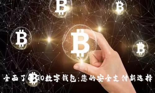 全面了解GO数字钱包：您的安全支付新选择