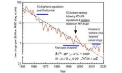 轻松开通公户数字钱包：