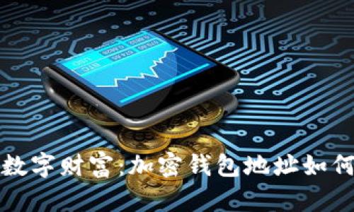 保护您的数字财富：加密钱包地址如何保持隐私