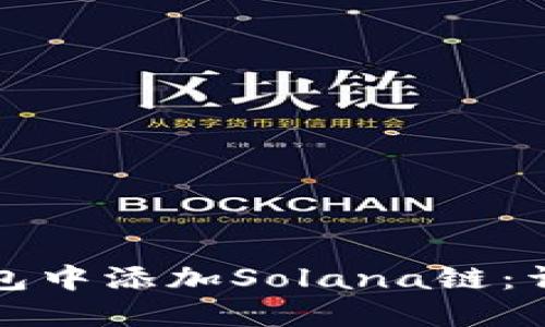 如何在小狐钱包中添加Solana链：详细步骤与技巧