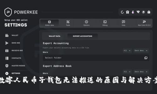 数字人民币子钱包无法推送的原因与解决方案