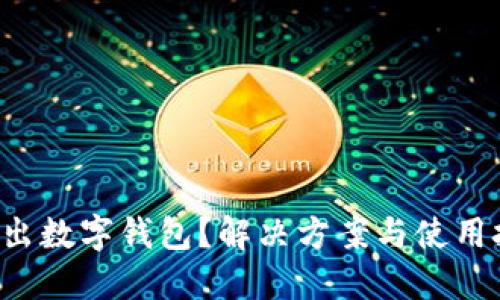 京东支付不出数字钱包？解决方案与使用技巧大揭秘！