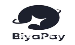 ABEY数字钱包iOS：安全、便