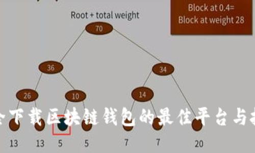 安全下载区块链钱包的最佳平台与技巧