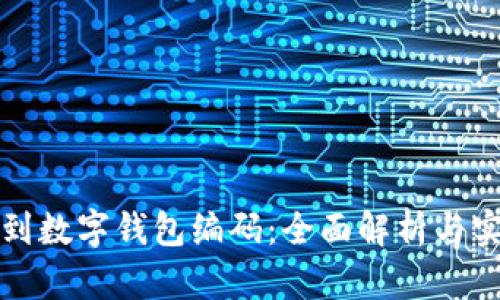 如何找到数字钱包编码：全面解析与实用技巧