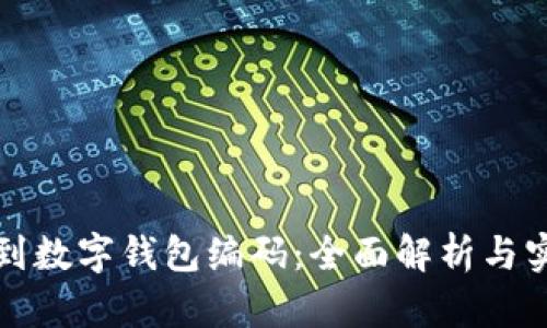如何找到数字钱包编码：全面解析与实用技巧