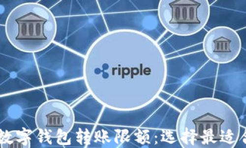 
了解各大银行数字钱包转账限额：选择最适合你的理财方式