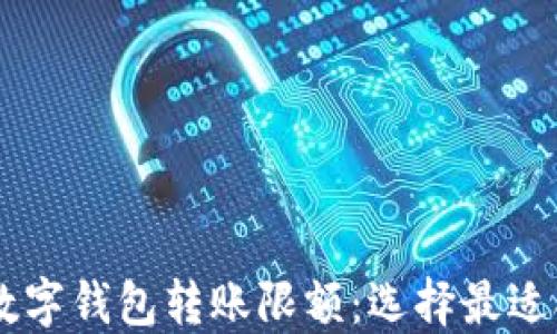 
了解各大银行数字钱包转账限额：选择最适合你的理财方式