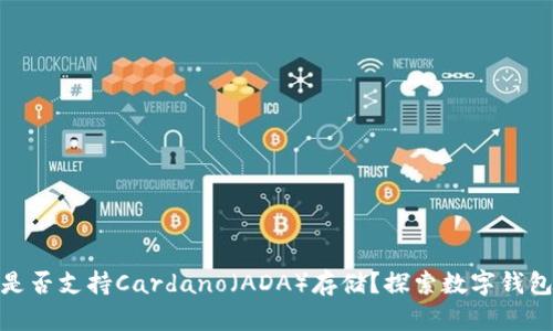 MetaMask是否支持Cardano（ADA）存储？探索数字钱包的跨链潜力
