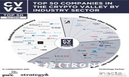 如何使用 MetaMask 与波场(TRON) 进行无缝连接：全面指南