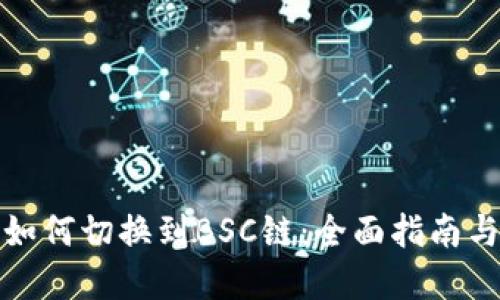 小狐钱包如何切换到BSC链：全面指南与实用技巧