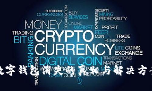 数字钱包消失的真相与解决方案