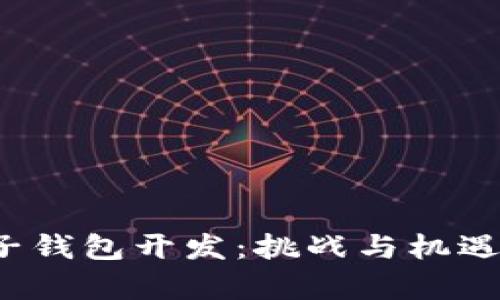  区块链电子钱包开发：挑战与机遇的深入解析