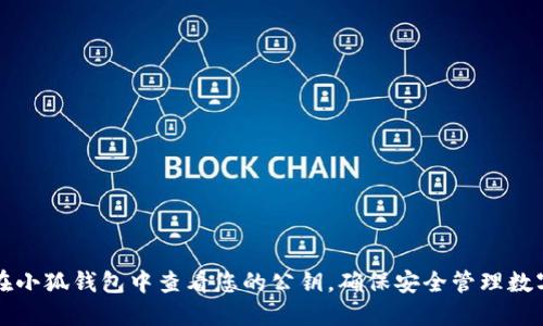 如何在小狐钱包中查看您的公钥，确保安全管理数字资产