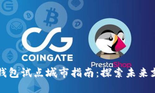 中国数字钱包试点城市指南：探索未来支付新趋势