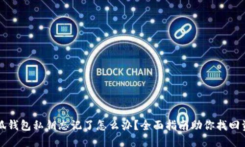 小狐钱包私钥忘记了怎么办？全面指南助你找回资产