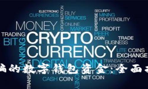 如何追回被诈骗的数字钱包资金：全面指南和有效对策