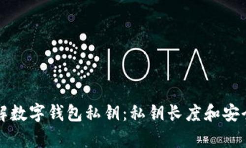 深入了解数字钱包私钥：私钥长度和安全性解析