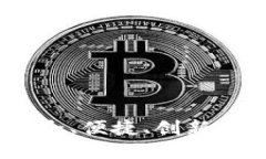 解密Pias数字钱包：安全、