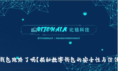 数字钱包跑路了吗？揭秘数字钱包的安全性与信任机制