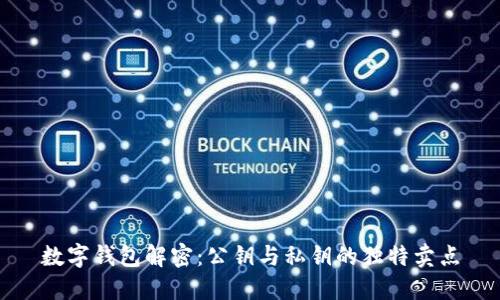 数字钱包解密：公钥与私钥的独特卖点