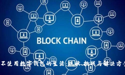   不使用数字钱包的生活：现状、挑战与解决方案 