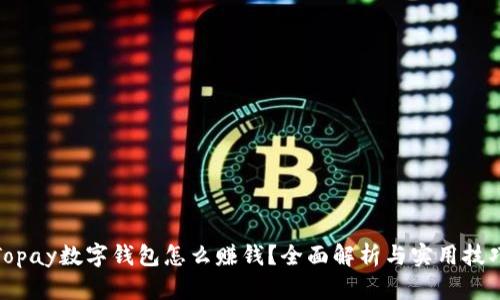 Topay数字钱包怎么赚钱？全面解析与实用技巧