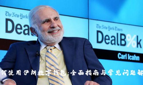 如何使用伊朗数字钱包：全面指南与常见问题解答