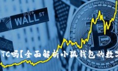 小狐钱包支持ETC吗？全面