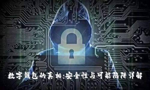 数字钱包的真相：安全性与可能陷阱详解