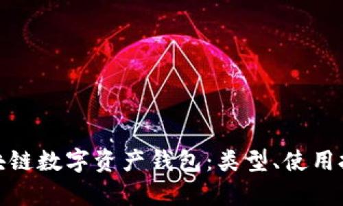 全面解析区块链数字资产钱包：类型、使用技巧与安全性