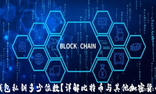 
加密货币钱包私钥多少位数？详解比特币与其他加密货币私钥结构