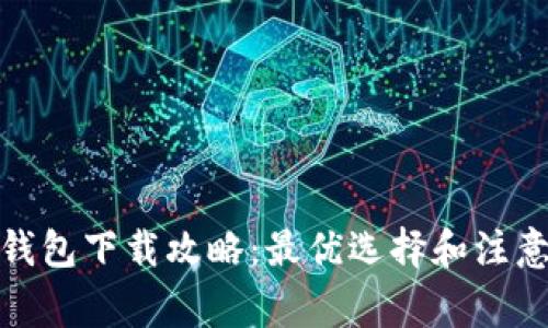 数字钱包下载攻略：最优选择和注意事项