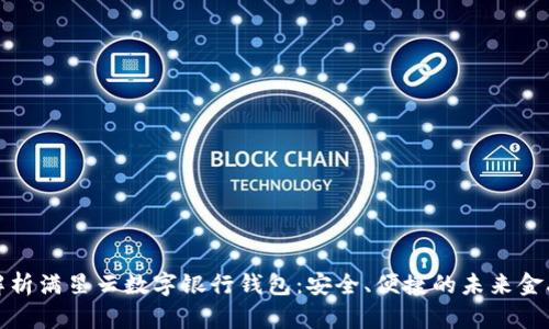 全面解析满星云数字银行钱包：安全、便捷的未来金融工具