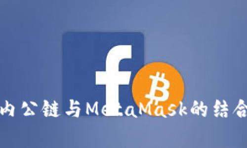 全面解析国内公链与MetaMask的结合与未来发展