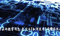 0091开头的数字钱包：是什