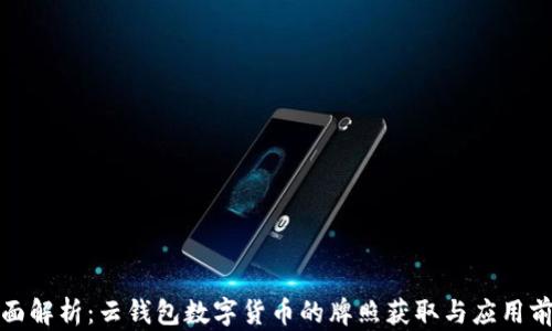 
全面解析：云钱包数字货币的牌照获取与应用前景