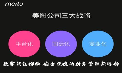 数字钱包樱桃：安全便捷的财务管理新选择
