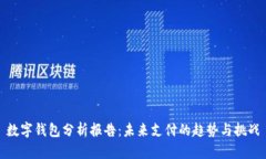 数字钱包分析报告：未来