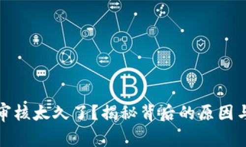 数字钱包审核太久了？揭秘背后的原因与解决方案