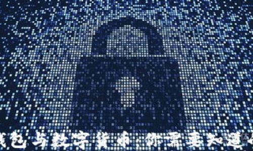 
数字钱包与数字货币：你需要知道的一切